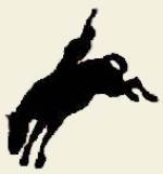 Rodeo at it's best - BCRA - British Columbia Rodeo Association